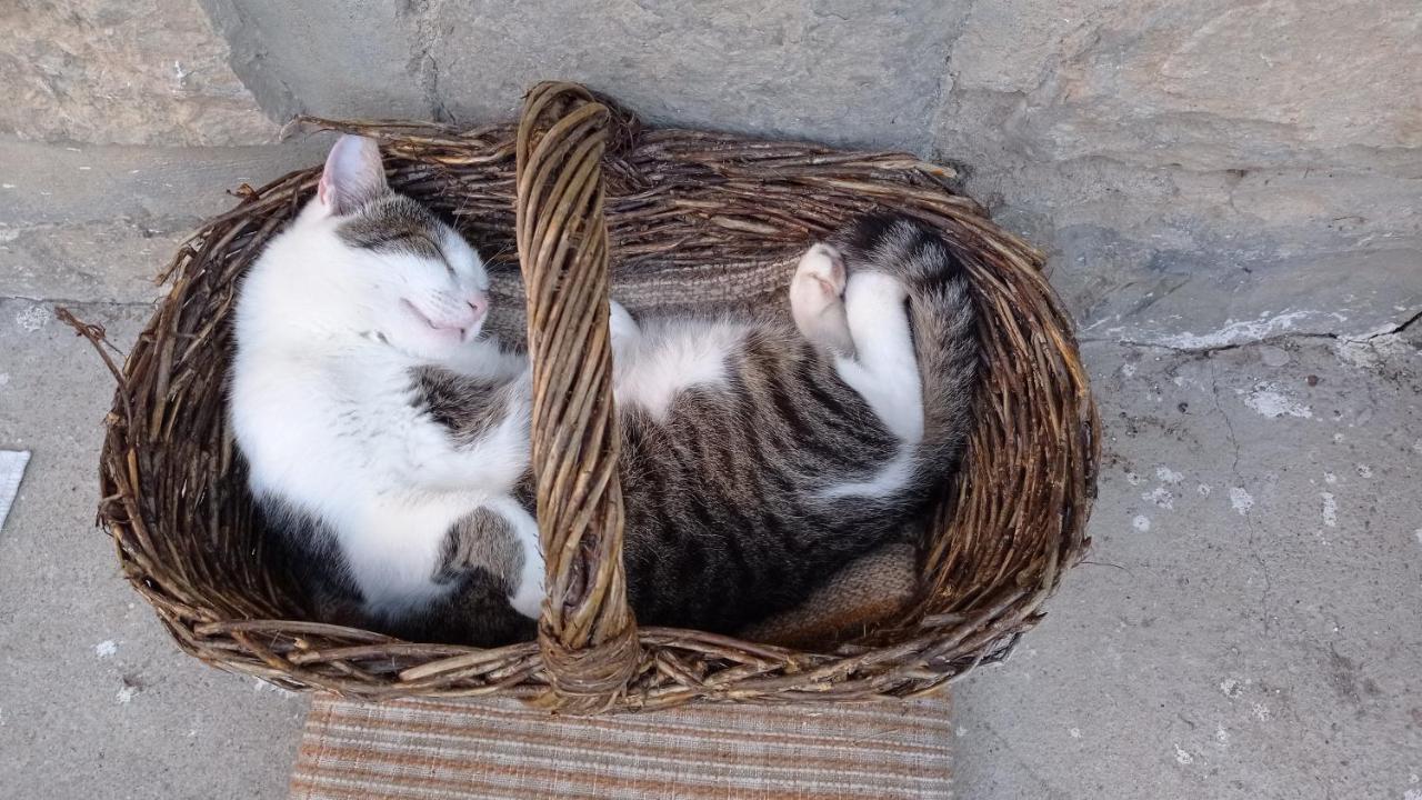 Lovas Vendeghaz Διαμέρισμα Obanya Εξωτερικό φωτογραφία